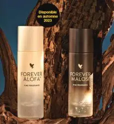 Forever : les parfums ALOFA et MALOSI